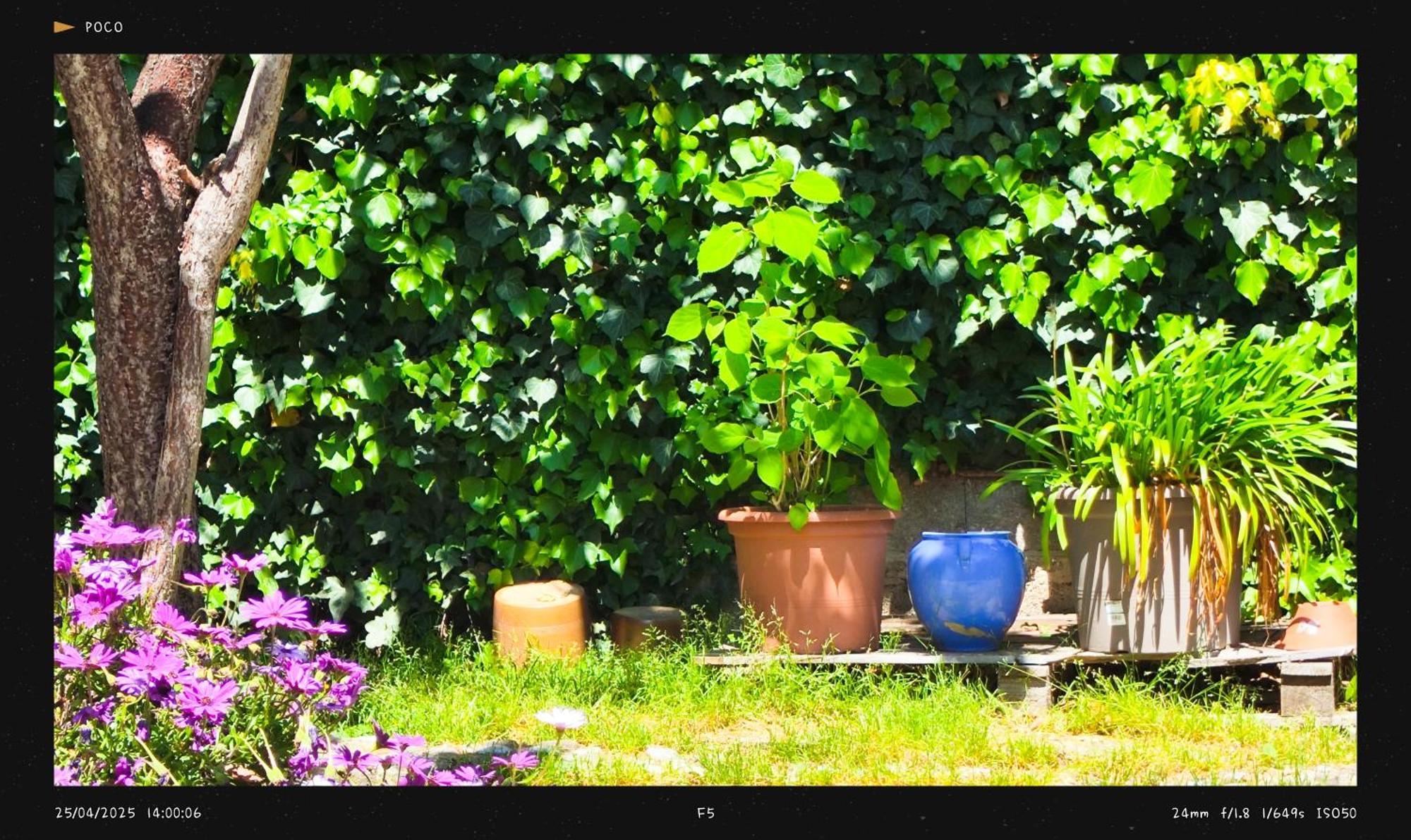 Agnes Limoux Exterior foto